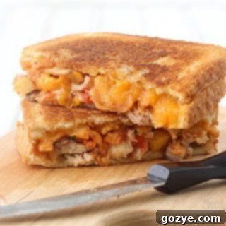 Fiesta Chicken Melt 6 Salsa Chicken Grilled Cheese sandwich ready to eat