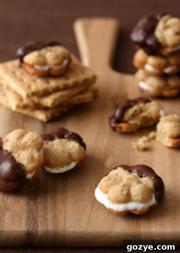 S'mores Spritz Sandwich Cookies with a graham cracker flavor