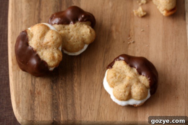 Close-up of S'mores Spritz Sandwich Cookies showing marshmallow and chocolate