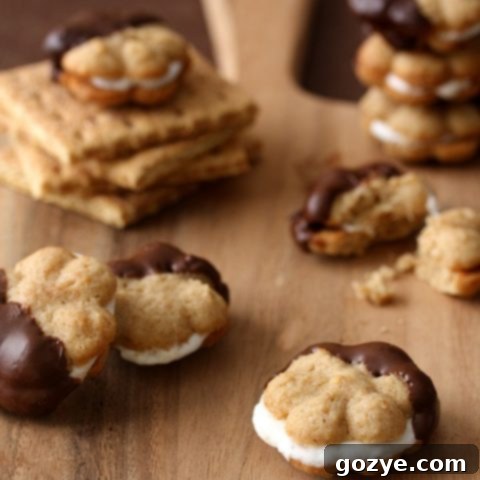 S'mores Spritz Sandwich Cookies with melted chocolate