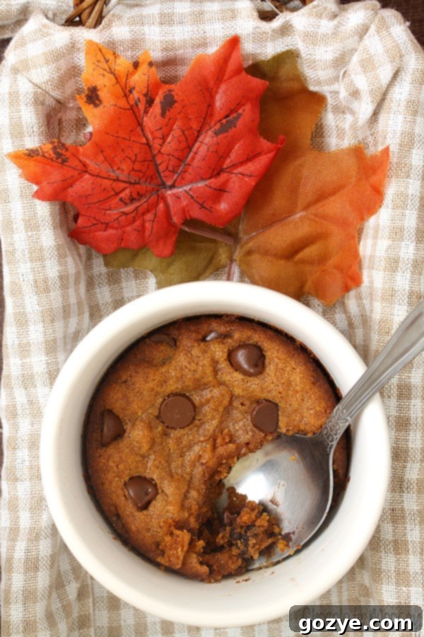 A warm, single serving pumpkin chocolate chip cookie broken in half, showing its soft, cake-like texture and generously melted chocolate chips