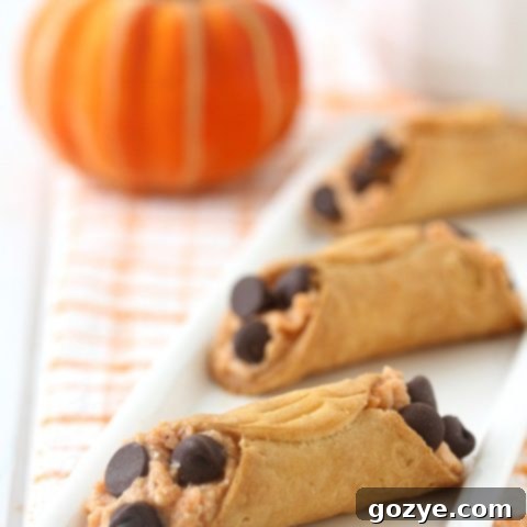 Pumpkin Cannolis with chocolate chips ready to be served