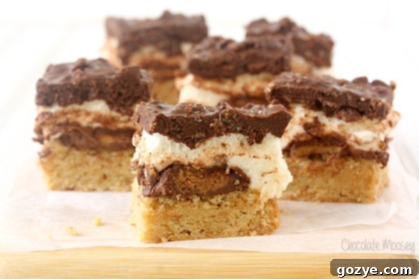 S'mores Peanut Butter Cup Crunch Bars - a wider shot of the tray, showing the gooey marshmallow layer peeking out from under the chocolate topping