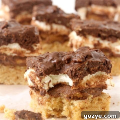 Delicious S'mores Peanut Butter Cup Crunch Bars