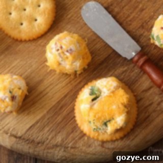 Jalapeno Popper Party Bites 8 Jalapeno Popper Cheese Ball Bites