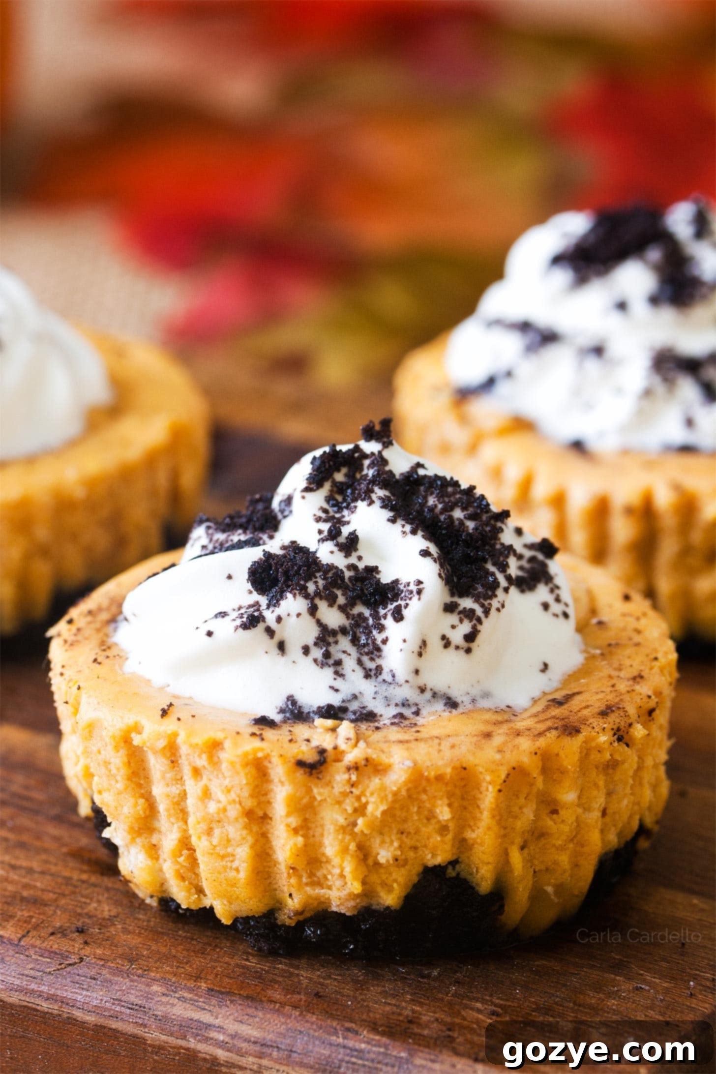 Close up of mini pumpkin cheesecake with whipped cream