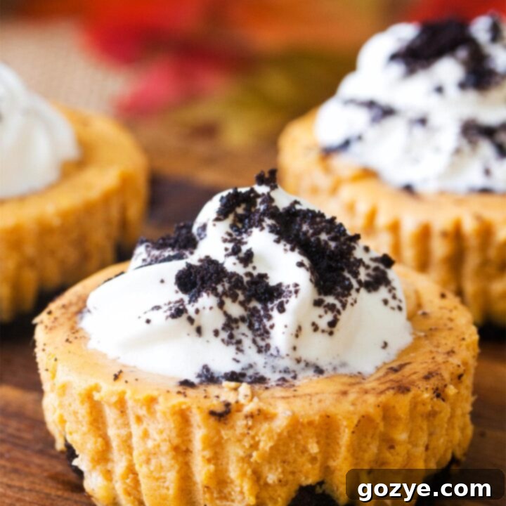 Close up of mini pumpkin cheesecake with whipped cream