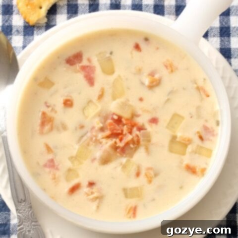 Close up of cream of bacon soup with onion