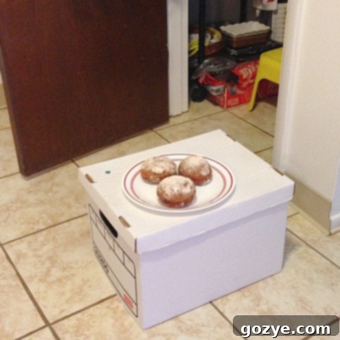 Apple Pie Filled Doughnuts on a box