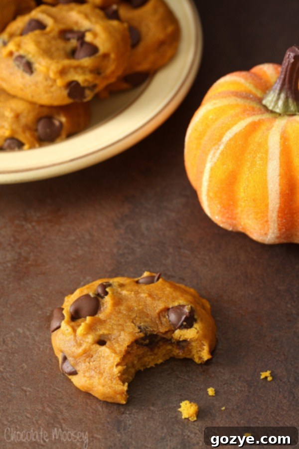 Soft and spiced Pumpkin Chocolate Chip Cookies, perfect for fall baking and cozy moments.