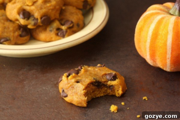 Delightful Soft and Spiced Pumpkin Chocolate Chip Cookies arranged beautifully, ready for a taste of autumn comfort.