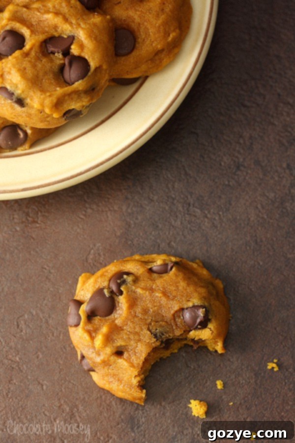 Soft and spiced Pumpkin Chocolate Chip Cookies baked for fall, showcasing their inviting texture and chocolate chips.