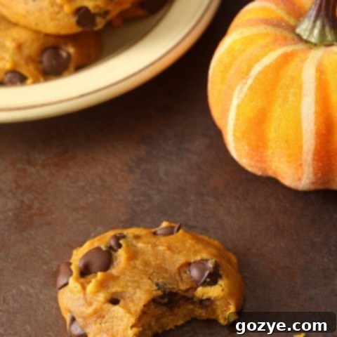 Pumpkin Chocolate Chip Cookies