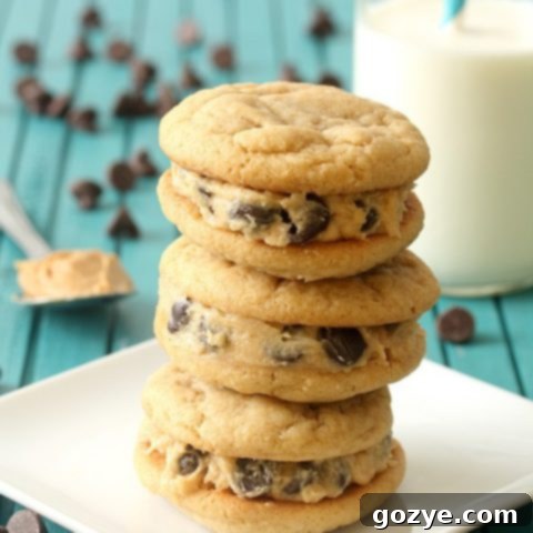 Irresistible Peanut Butter Cookie Dough Sandwiches 5 Homemade Peanut Butter Cookie Dough Sandwich Cookies Recipe Card