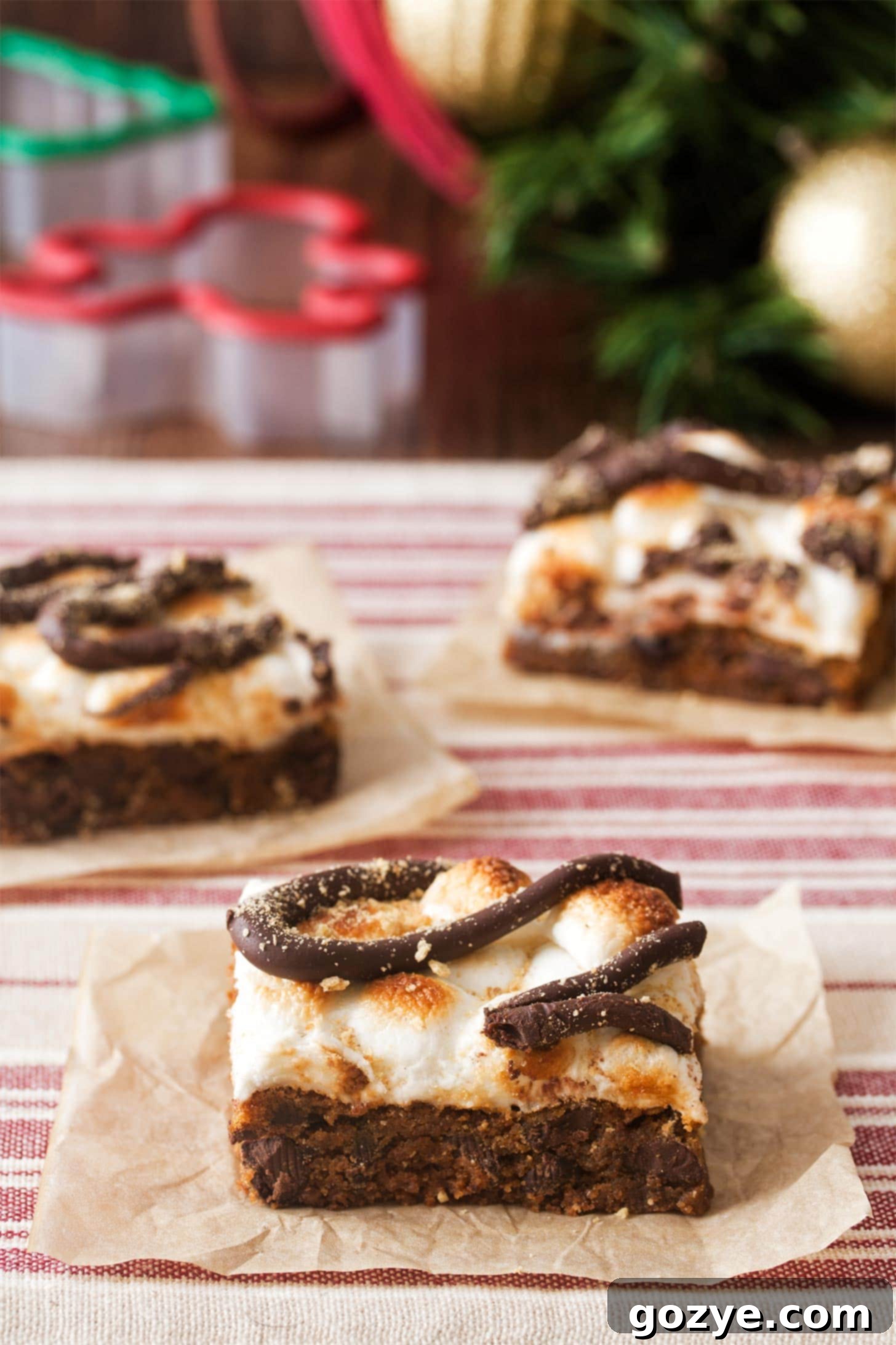 Soft gingerbread cookie squares topped with golden toasted mini marshmallows.