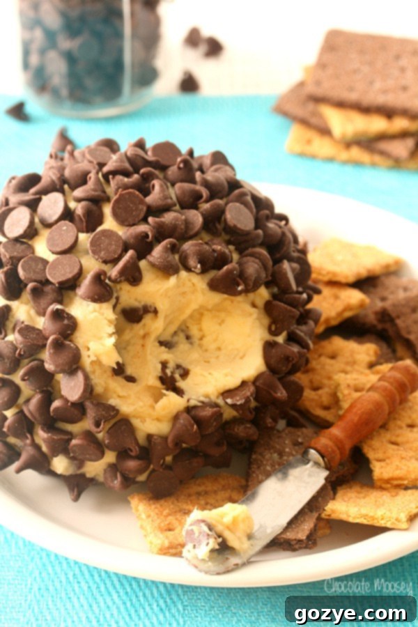 Close up of Chocolate Chip Cheese Ball, ready to serve with dippers