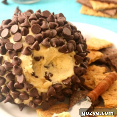 Close up of Chocolate Chip Cheese Ball, perfectly coated in chocolate chips