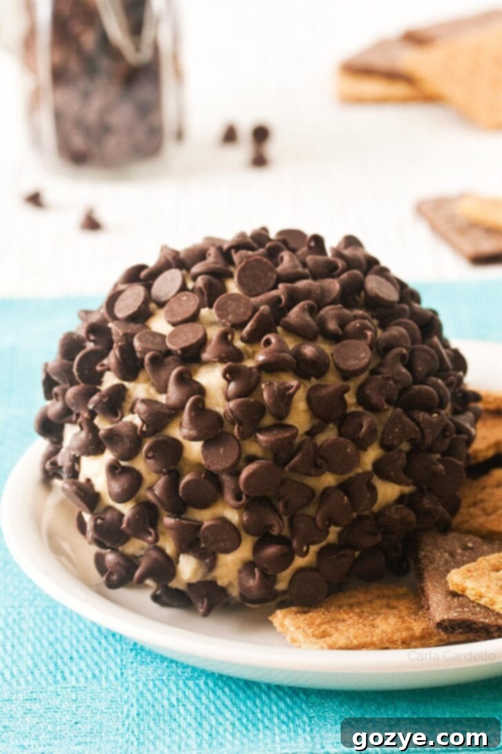 Chocolate Chip Cheese Ball completely rolled in chocolate chips
