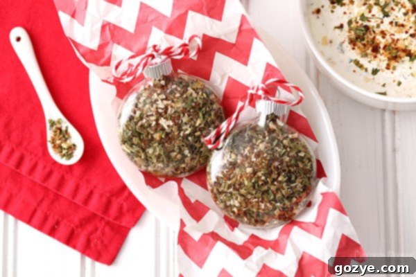 Fiesta Dip Mix to give as Christmas gifts for those hard-to-buy people
