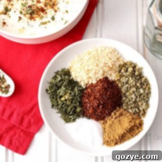 Fiesta Dip Mix