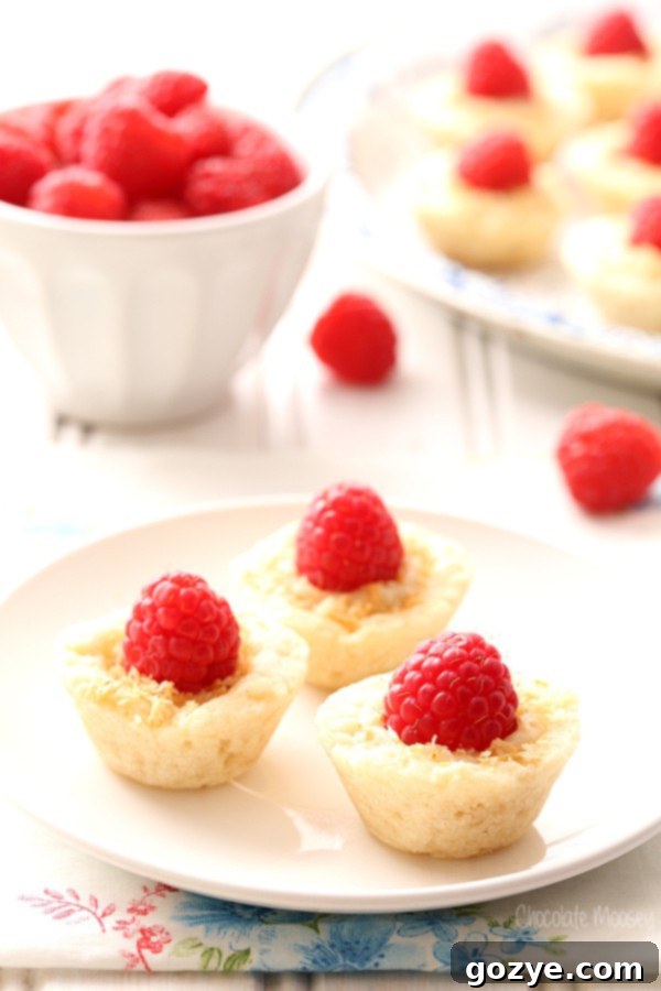 Bite-Sized Raspberry Coconut Pies 2 Homemade Raspberry Coconut Mini Pies with flaky crust and creamy filling