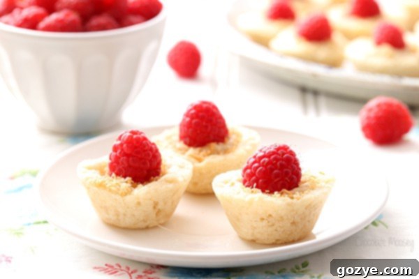 Bite-Sized Raspberry Coconut Pies 3 Raspberry Coconut Mini Pies with individual serving focus
