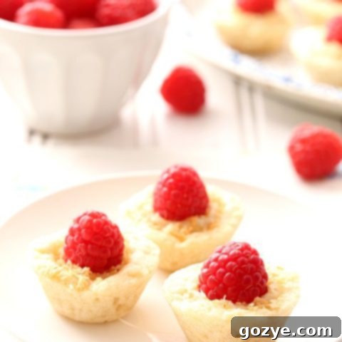 Bite-Sized Raspberry Coconut Pies 5 Raspberry Coconut Mini Pies