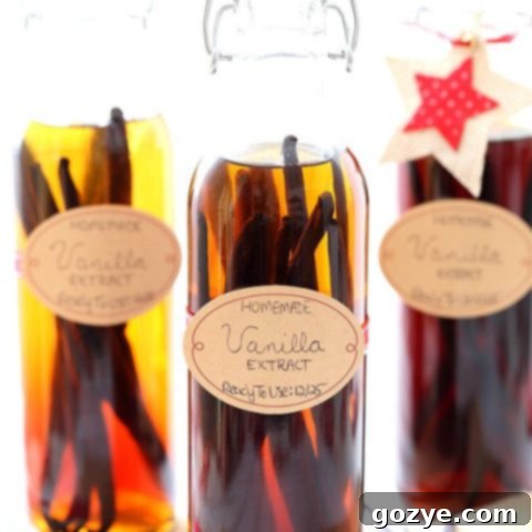 Homemade Vanilla Extract