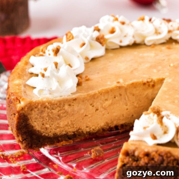 Festive Gingerbread Cheesecake 7 9 Inch Gingerbread Cheesecake with slice missing