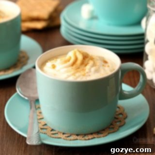 Sipable Cheesecake Cocoa 5 Cheesecake Hot Chocolate served in a clear mug with whipped cream and graham cracker crumbs on top