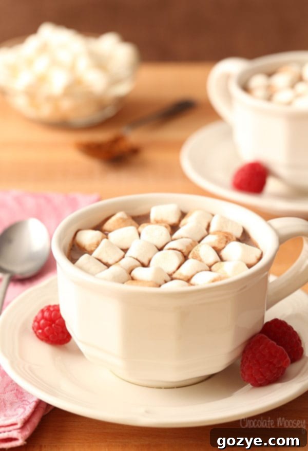 Raspberry Hot Chocolate made from scratch with fresh raspberries