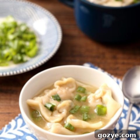 Pork Wonton Soup with a delicious pork filling