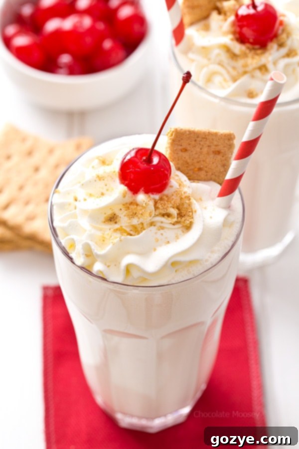 Decadent Cheesecake Shakes 4 A close-up of a Cheesecake Milkshake, showing the creamy texture and graham cracker crumbs