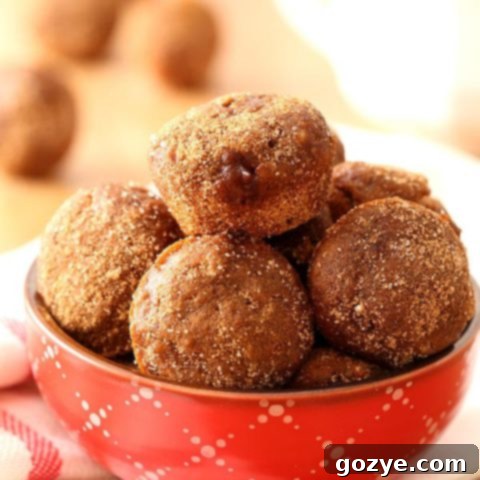 Apple Butter Baked Doughnut Holes