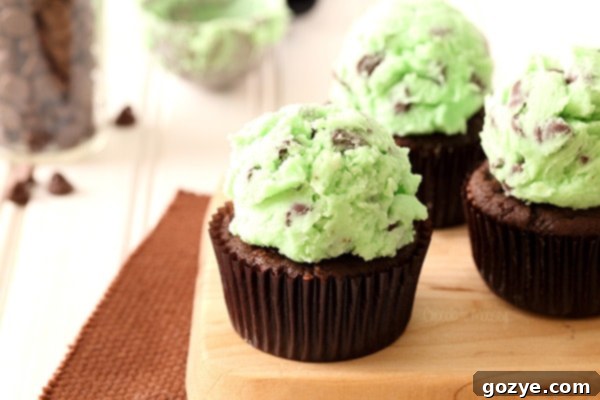 Chocolate mint cupcakes with scoop of mint buttercream frosting