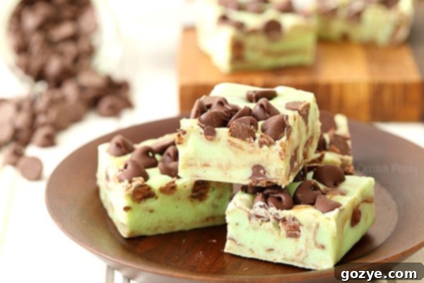 5 ingredient Mint Chocolate Chip Fudge made with sweetened condensed milk