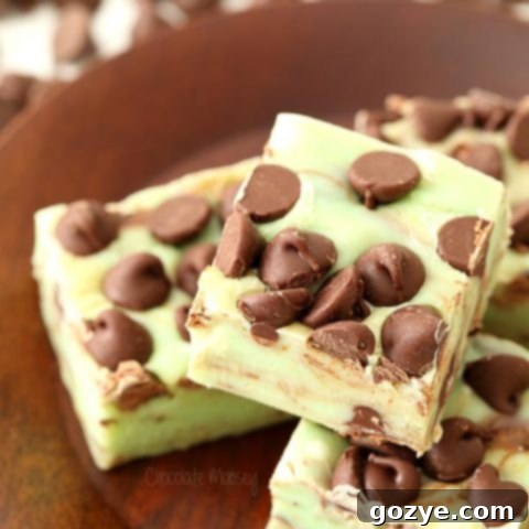 Mint Chocolate Chip Fudge