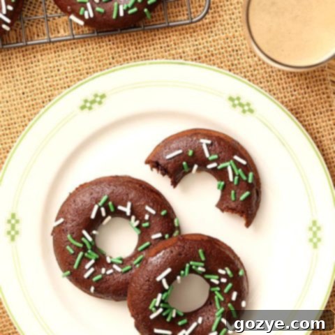 Small Batch Chocolate Stout Baked Doughnuts with Guinness Glaze