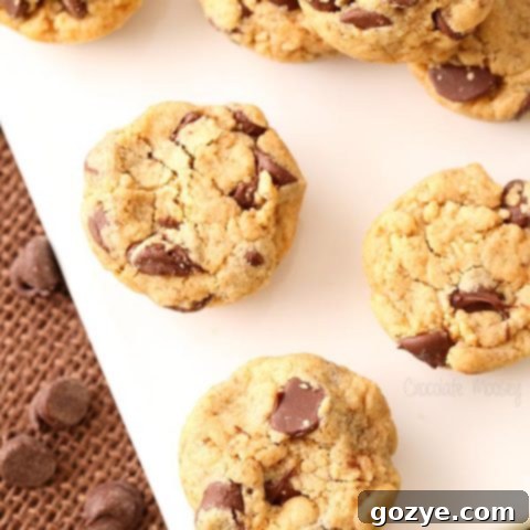 Peanut Butter Chocolate Chip Cookie Bites