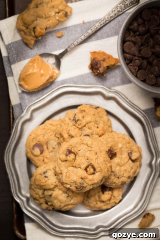 Chocolate Chip Peanut Butter Oatmeal Cookies that are soft and nutty