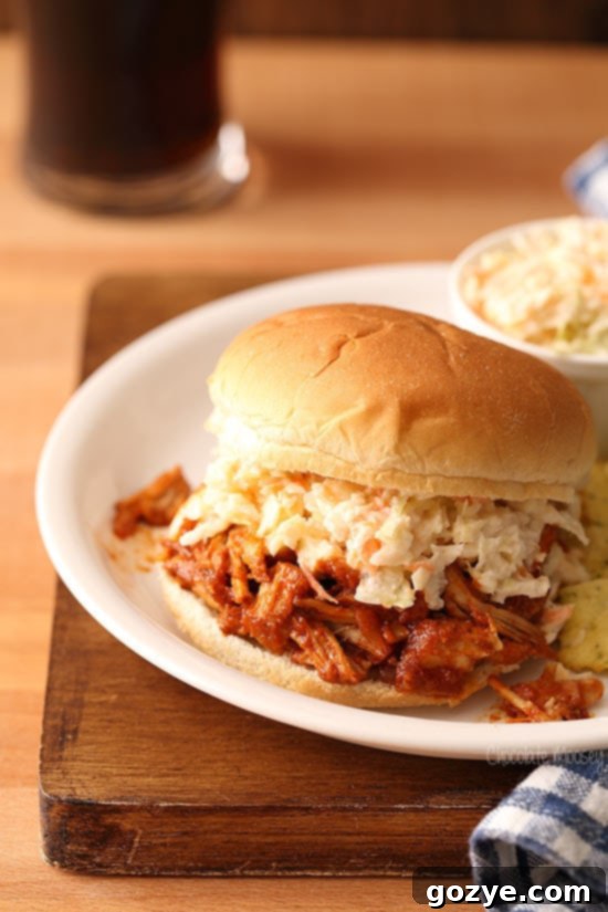 Close-up of Oven Pulled Pork For Two with barbecue sauce