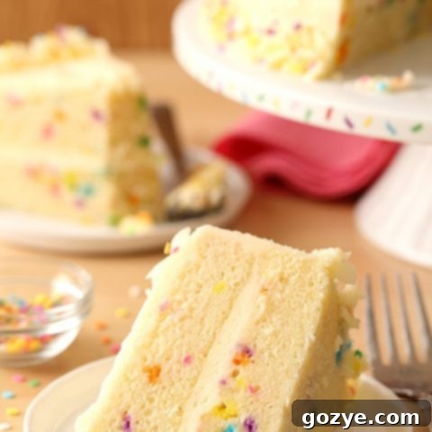 Funfetti Layer Cake with Whipped Vanilla Buttercream Frosting