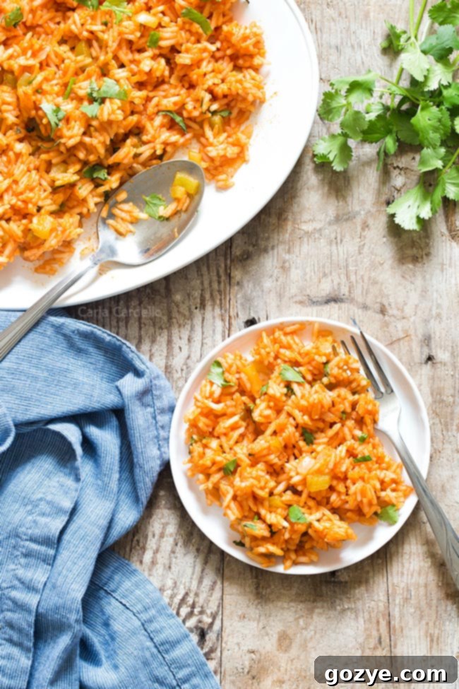 Close-up of a white plate filled with perfectly cooked Spanish rice, showcasing its vibrant red color and individual grains.