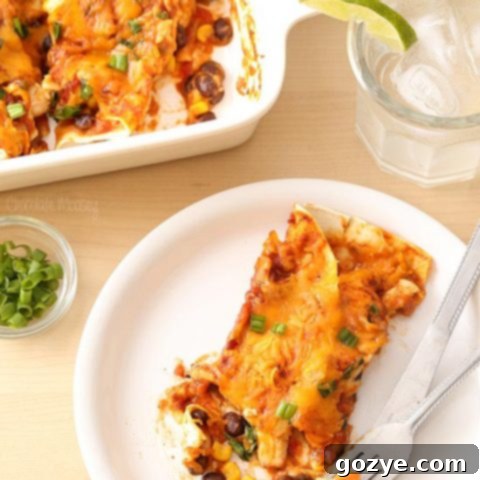Salsa Chicken Enchiladas