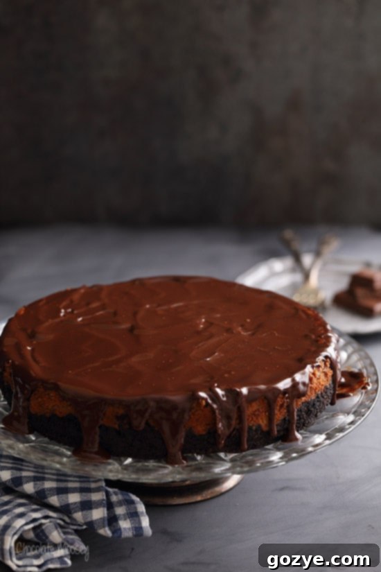 Triple Chocolate Cheesecake with an Oreo cookie crust