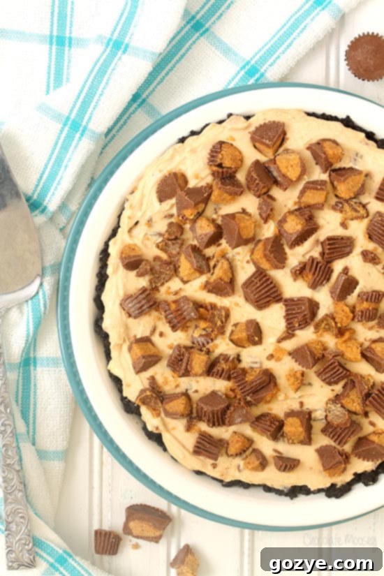 Overhead shot of peanut butter pie