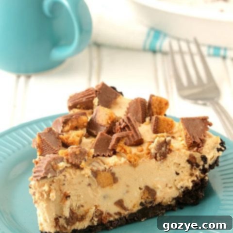No Bake Peanut Butter Pie