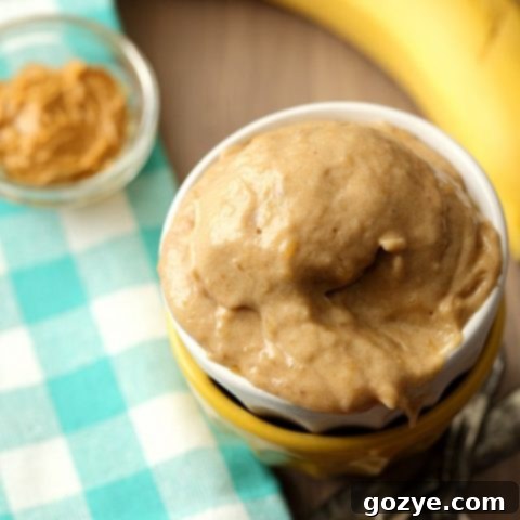 Peanut Butter Banana Ice Cream serving in a bowl, ready to eat