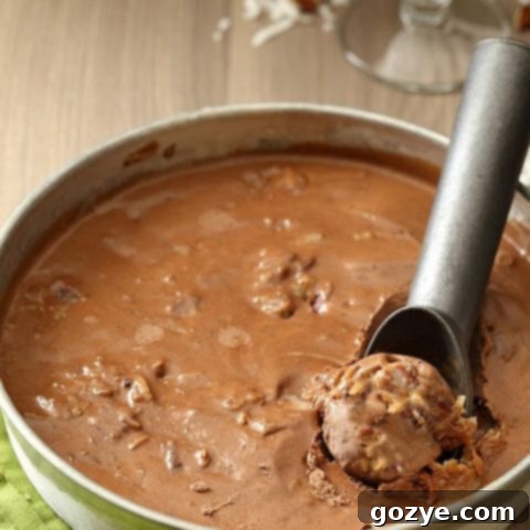Rich German Chocolate Cake Ice Cream in a bowl with a scoop