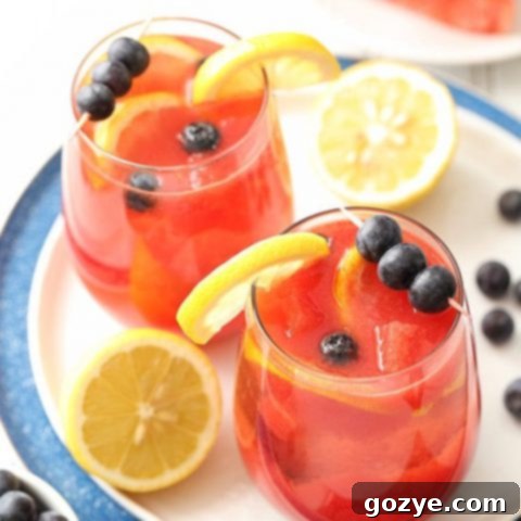 Watermelon Blueberry Sangria